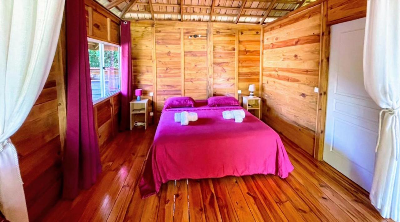 Raiatea - Orion Pool Bungalow Uturoa Eksteriør billede
